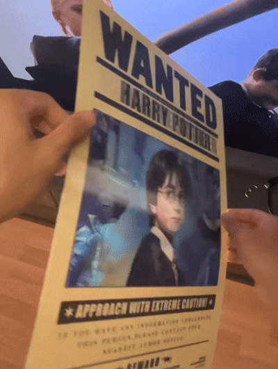 Harry Potter 3D Poster